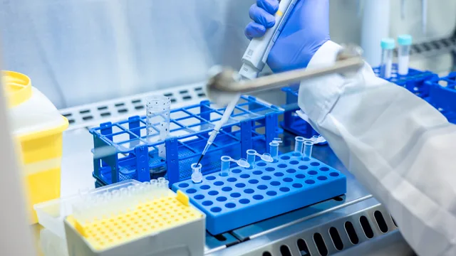 Profesional del Laboratorio LVV procesando muestras de exámenes de medicina laboral en Bahía Blanca